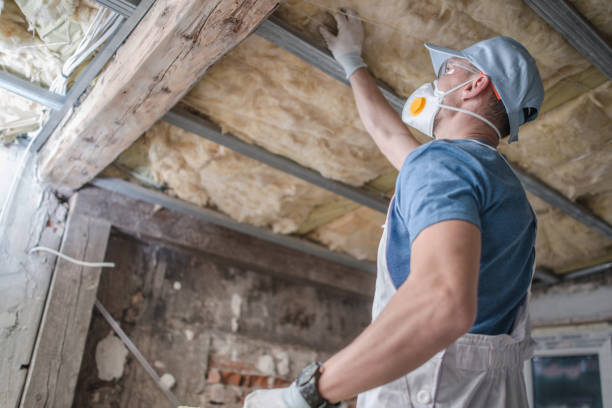 Best Insulation Installation Services in West Branch, IA