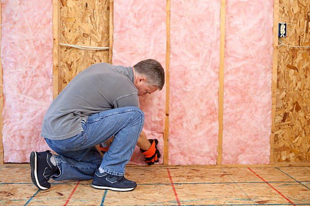 Best Insulation Maintenance and Repair in West Branch, IA